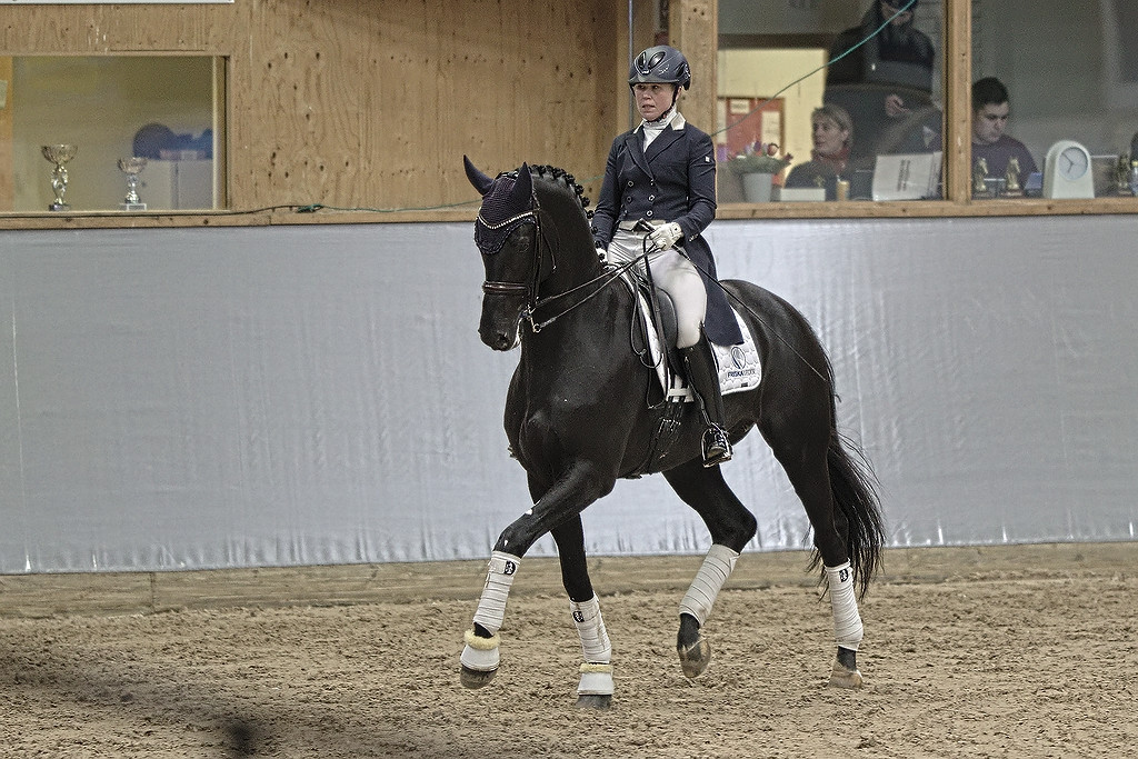 Ironman H 1351, Grevagården 2020. Photo Jöns Leandersson.