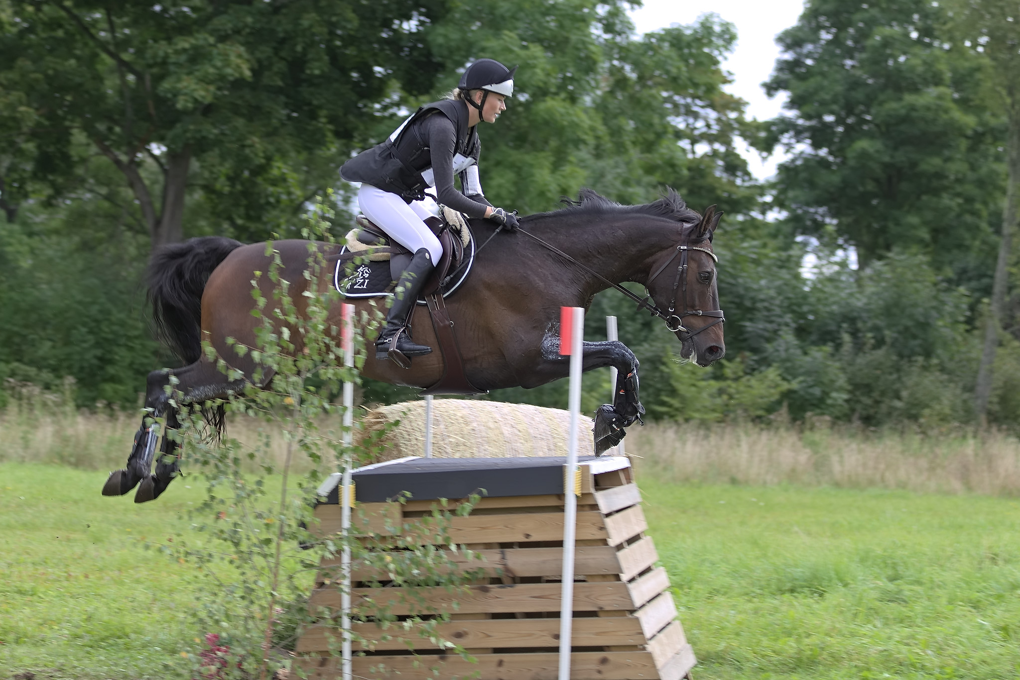 Frida Wicksell with Top Crut (SWB) Segersjö 2020. Photo Jöns Leandersson.