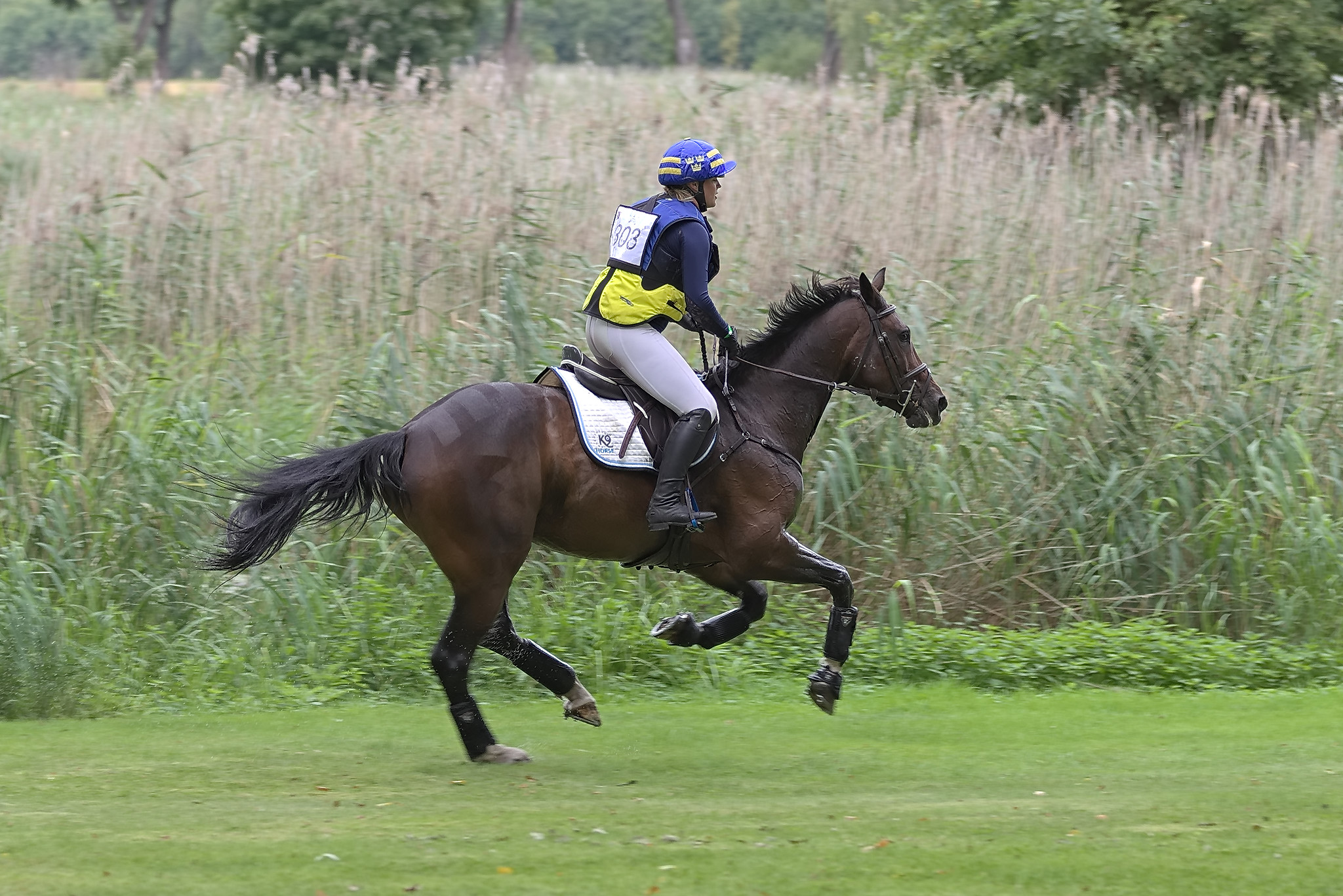 Alice Andersen with Lavendel (SWB) Segersjö 2020. Photo Jöns Leandersson.