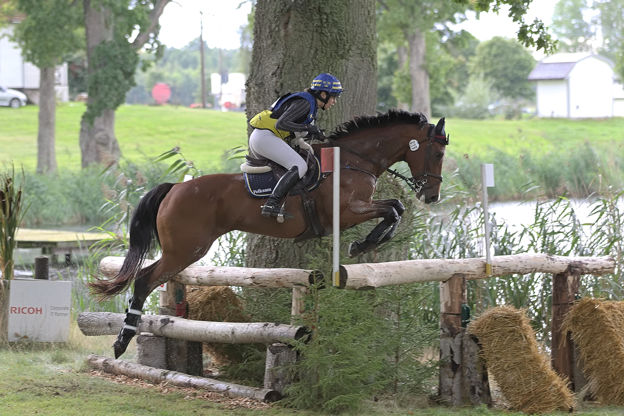 Saga Suovanen with NuEller Aldrie (SWB) Segersjö 2020. Photo Jöns Leandersson.