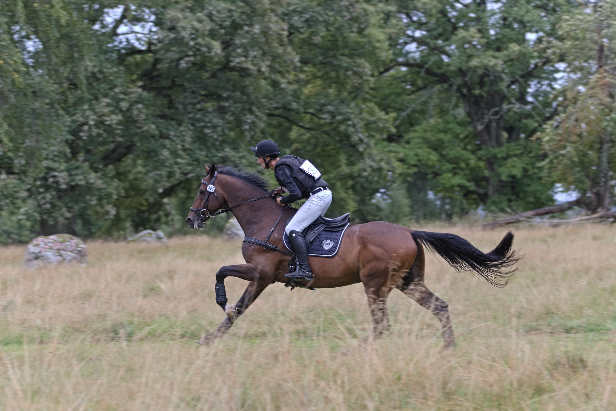 Henrik Adnervik and Empéro (SWB) at Segersjö 2022. Photo Jöns Leandersson.