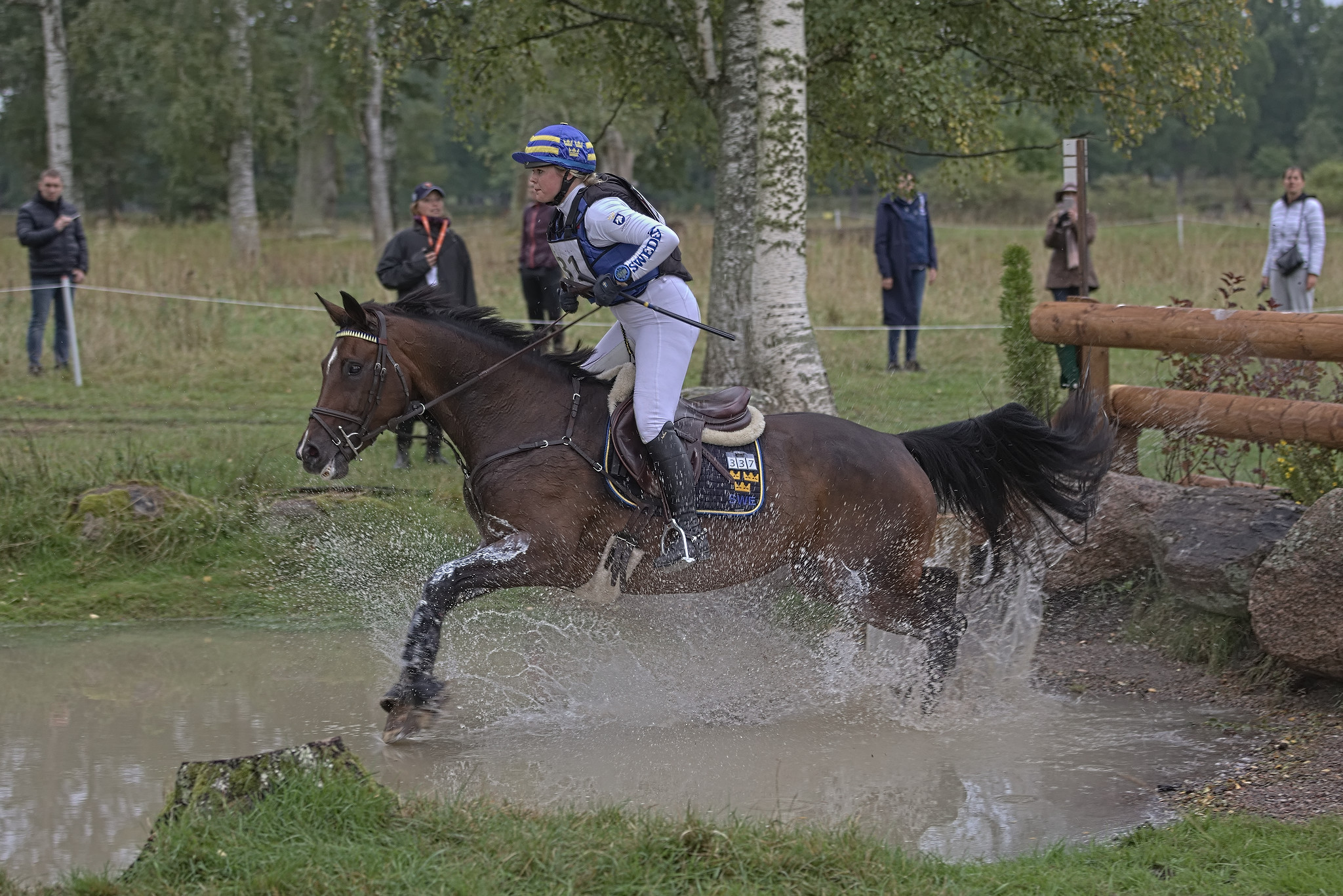 Alice Andersen and Lavendel (SWB) at Segersjö 2021, Photo Jöns Leandersson.